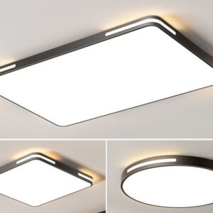 Modern LED Ceiling Light