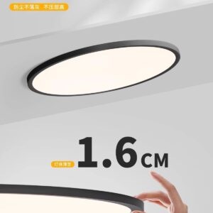 Ultra-Thin Flush Mount Ceiling Light