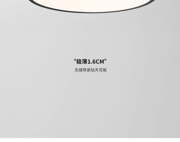 Ultra-Thin Flush Mount Ceiling Light