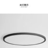 Ultra-Thin Flush Mount Ceiling Light