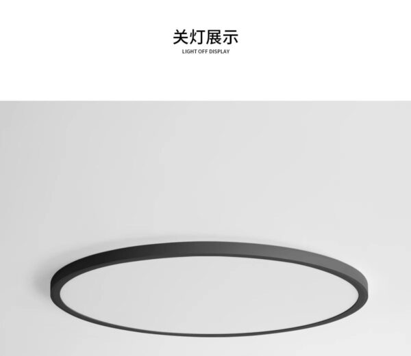 Ultra-Thin Flush Mount Ceiling Light
