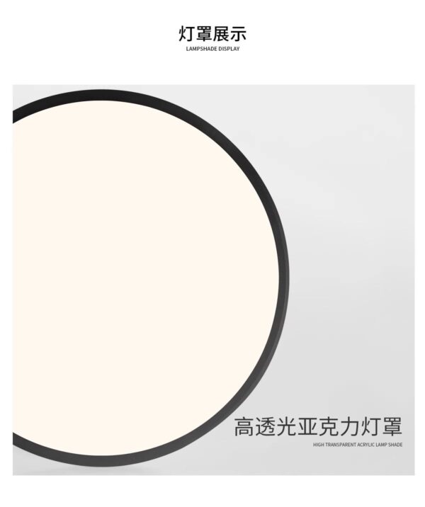 Ultra-Thin Flush Mount Ceiling Light