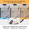 1000017256 Premium Crystal Chandelier Ceiling Light